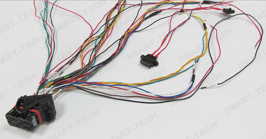 Automotive electronic control wiring harness